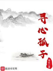 寻心孤子
